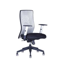 Kancelářská židle na kolečkách Office Pro CALYPSO XL BP - bez podhlavníku, více barev Světle šedá 12A11