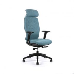 Kancelářská ergonomická židle Office Pro SELENE — více barev Modrá F83