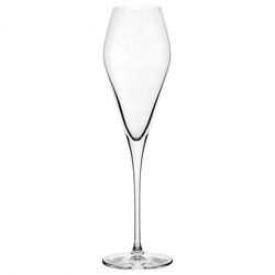 Nude designové sklenice na šampaňské Fantasy