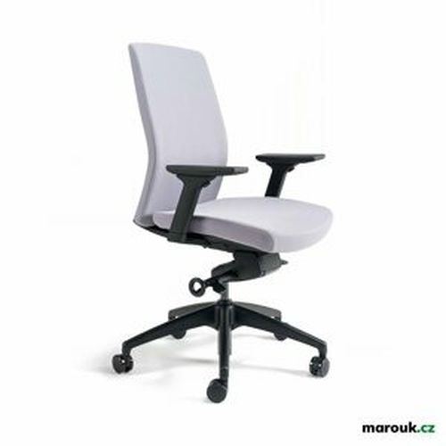 Kancelářská ergonomická židle Office Pro J2 BP — více barev, bez podhlavníku Šedá 206