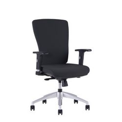Kancelářská ergonomická židle Office Pro HALIA BP – bez podhlavníku, více barev Černá 2628