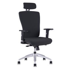 Kancelářská ergonomická židle Office Pro HALIA SP – s podhlavníkem, více barev Černá 2628